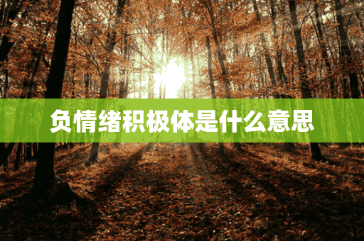 负情绪积极体是什么意思